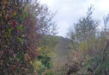 Acțiune amplă de decolmatare în Căpreni