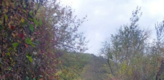 Acțiune amplă de decolmatare în Căpreni