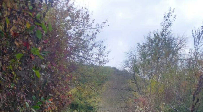 Acțiune amplă de decolmatare în Căpreni