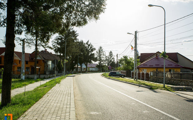 Postbelice reale, de-ale ţiclenarilor