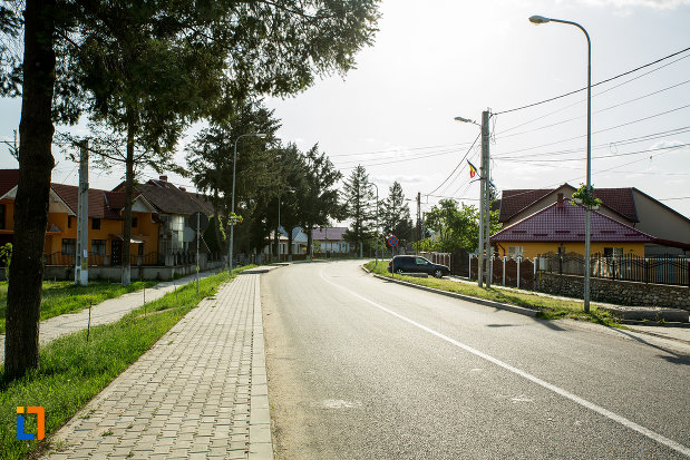 Postbelice reale, de-ale ţiclenarilor