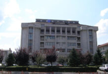 Veste bună de la judecători pentru frații din Hurezani, care și-au bătut vecinul cu o coadă de topor