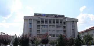 Veste bună de la judecători pentru frații din Hurezani, care și-au bătut vecinul cu o coadă de topor