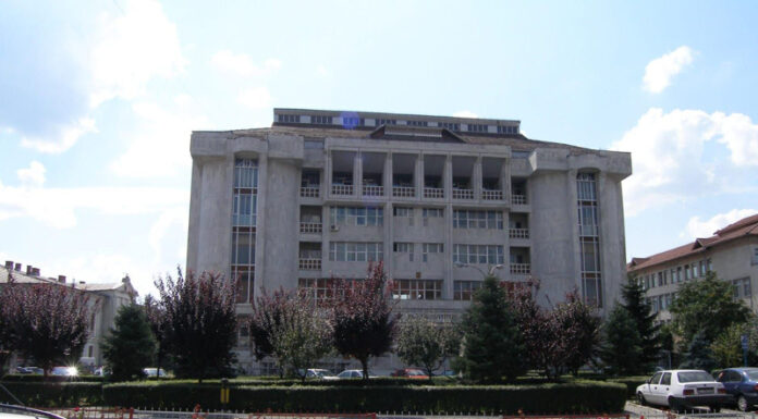 Veste bună de la judecători pentru frații din Hurezani, care și-au bătut vecinul cu o coadă de topor