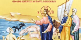 Viaţa Spirituală – Calea, Lumina, Adevărul şi Viaţa – Dumnezeu ne cere să facem fapte bune şi să împlinim poruncile Sale, să nu Îl alungăm din viaţa noastră, ca să nu păţim ceea ce au păţit cei din ţinutul Gherghesenilor!