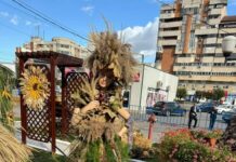 Ziua Recoltei, sărbătorită în piețele din Târgu Jiu