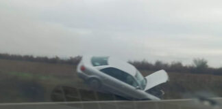 A intrat cu mașina în șanț, după ce i-a sărit o căprioară în față