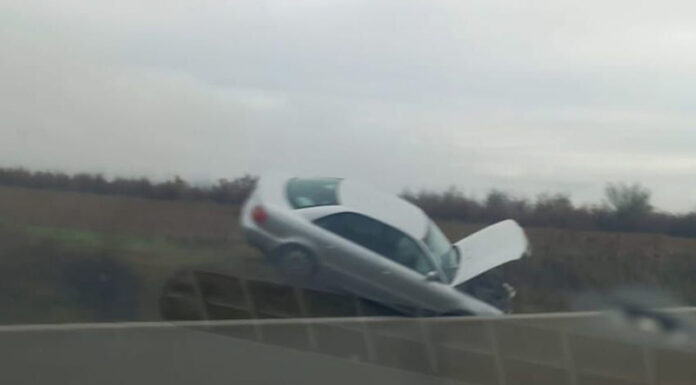 A intrat cu mașina în șanț, după ce i-a sărit o căprioară în față