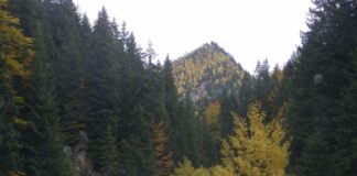 Nostalgii autumnale – Prin lumea Momârlanilor spre obârșia celor două Jiuri