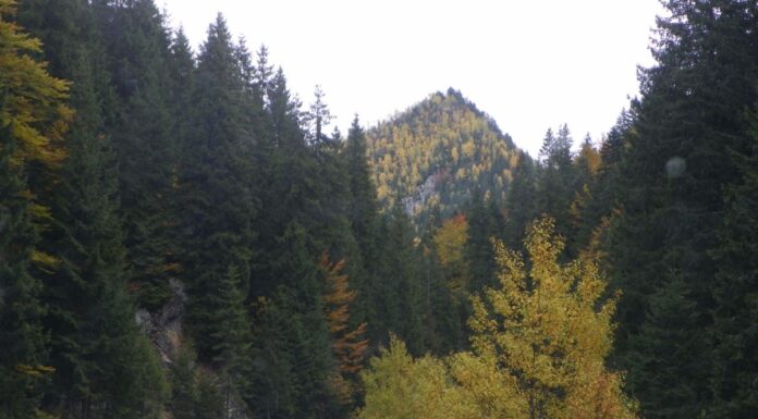 Nostalgii autumnale – Prin lumea Momârlanilor spre obârșia celor două Jiuri