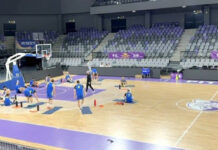 Pauză și în Liga Națională de Baschet Masculin. Naționala are două meciuri importante