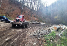 Amenzi de 16.000 de lei pentru transport de bușteni prin albia unor râuri de munte