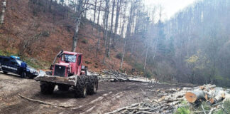 Amenzi de 16.000 de lei pentru transport de bușteni prin albia unor râuri de munte