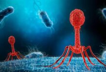 Inteligența artificială a reușit să creeze un virus