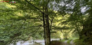 Valea Gilortului – o zonă turistică de mare valoare dispărută în totalitate