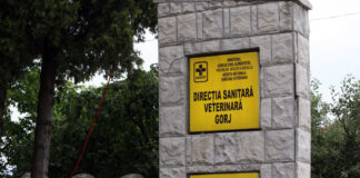 Un transportator amendat, restul „curați ca lacrima”. Bilanțul DSVSA Gorj