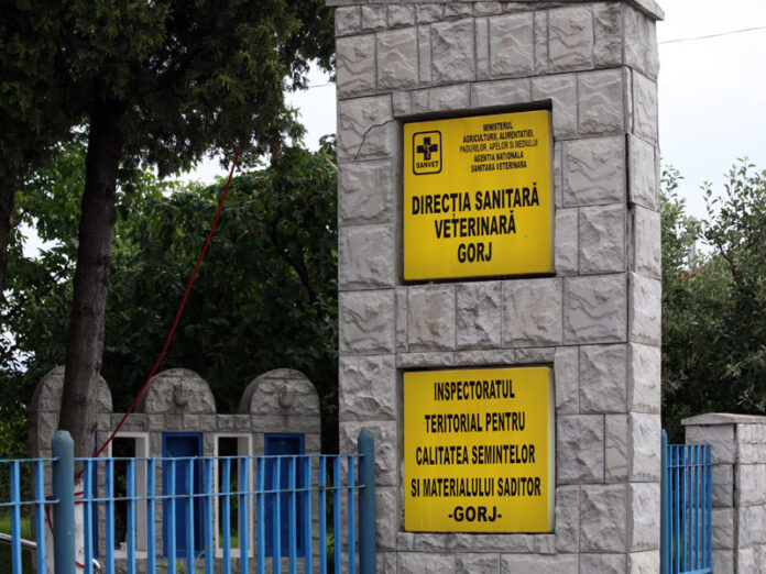 Un transportator amendat, restul „curați ca lacrima”. Bilanțul DSVSA Gorj