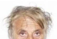 Bătrână dispărută dintr-o comună din Gorj, căutată cu câinele de urmă