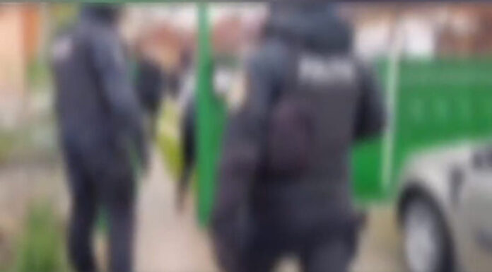 Rețineri după percheziții