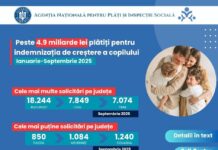 ANPIS: Topul județelor în care s-au plătit cele mai multe indemnizații de creștere a copilului