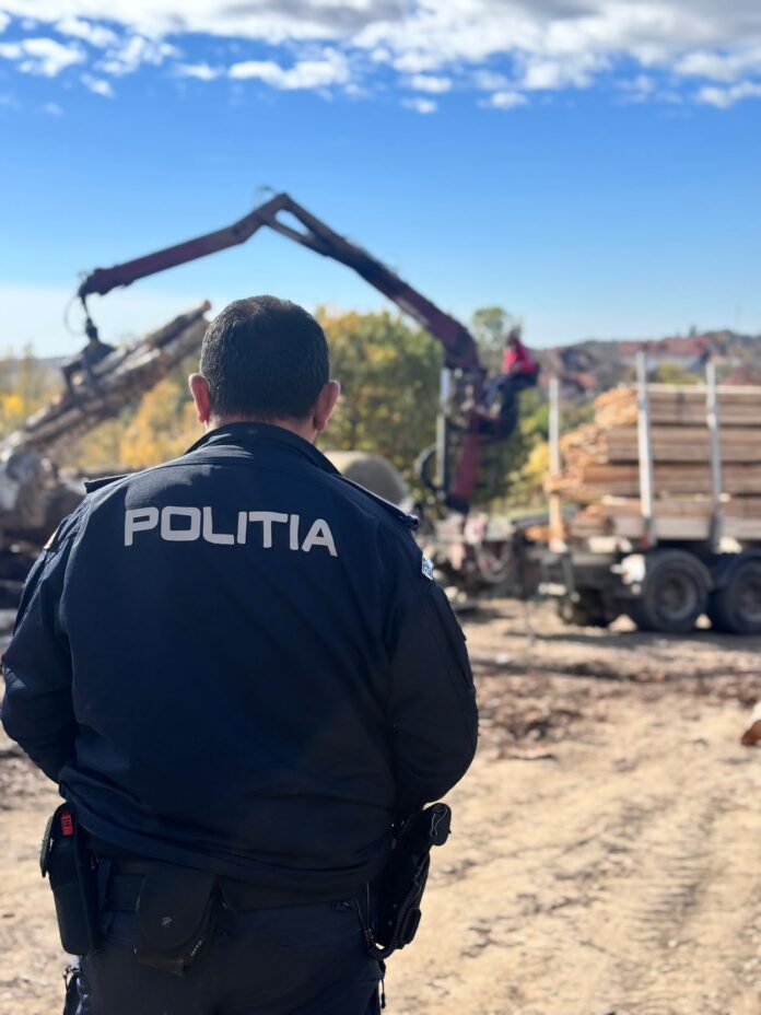 FOTO: Control la un depozit de lemne, încheiat cu amendă de 10.000 de lei