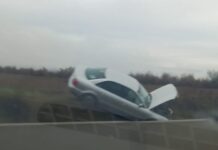 Tamponare spectaculoasă! O mașină a fost avariată după ce a lovit o căprioară