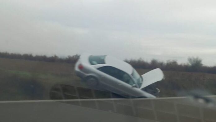 Tamponare spectaculoasă! O mașină a fost avariată după ce a lovit o căprioară