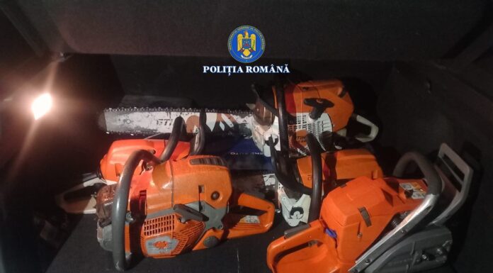 Furt de drujbe! Trei tineri au ajuns în arest