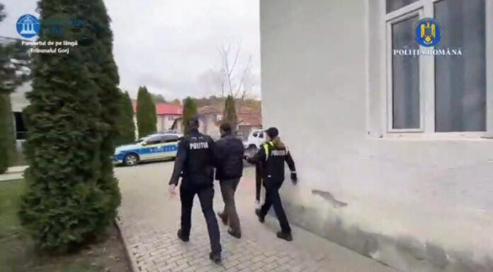 VIDEO: Lucrător silvic, reținut în cadrul operațiunii JUPITER