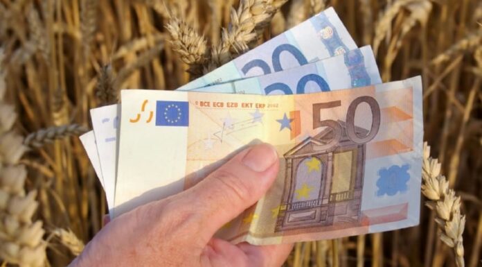 România a ajuns la un grad de absorbție de peste 95% pentru PNDR