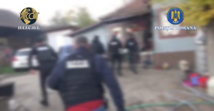 VIDEO: Arestat după aproape un an de trafic de canabis