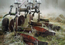 Agricultura pe înțelesul tuturor – Calendarul lucrărilor agricole în luna noiembrie