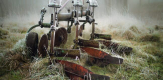 Agricultura pe înțelesul tuturor – Calendarul lucrărilor agricole în luna noiembrie