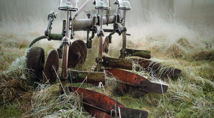 Agricultura pe înțelesul tuturor – Calendarul lucrărilor agricole în luna noiembrie