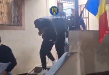 VIDEO: Patru bărbați, între care și un pădurar, reținuți într-un dosar de furt de lemne