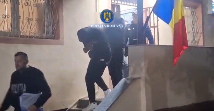 VIDEO: Patru bărbați, între care și un pădurar, reținuți într-un dosar de furt de lemne