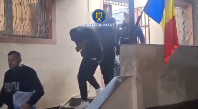 VIDEO: Patru bărbați, între care și un pădurar, reținuți într-un dosar de furt de lemne