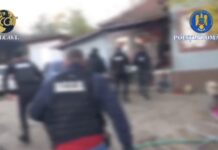 VIDEO: Bărbat acuzat de trafic de canabis, reținut după percheziții