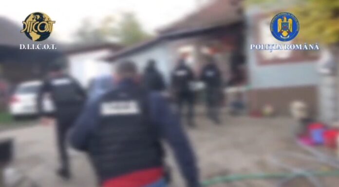 VIDEO: Bărbat acuzat de trafic de canabis, reținut după percheziții