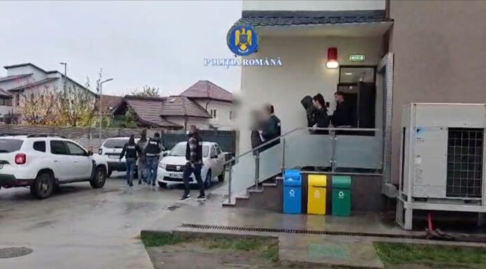 VIDEO: O bandă de hoți, în arestul IPJ Gorj