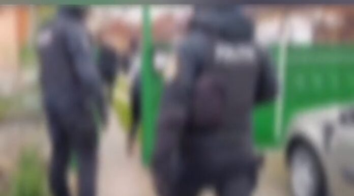 VIDEO: Percheziții de amploare în județul Gorj