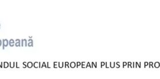 E-Skill – Abilități digitale pentru piața muncii – COD SMIS 334321