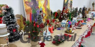 Târg caritabil, de Crăciun, la Peștișani