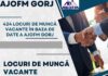 AJOFM Gorj: Peste 400 de posturi disponibile pentru toate calificările