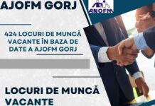 AJOFM Gorj: Peste 400 de posturi disponibile pentru toate calificările
