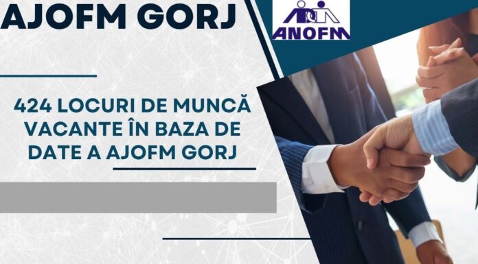 AJOFM Gorj: Peste 400 de posturi disponibile pentru toate calificările
