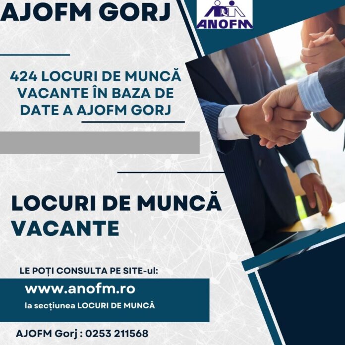 AJOFM Gorj: Peste 400 de posturi disponibile pentru toate calificările