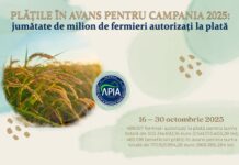 APIA: Jumătate de milion de fermieri autorizați la plată
