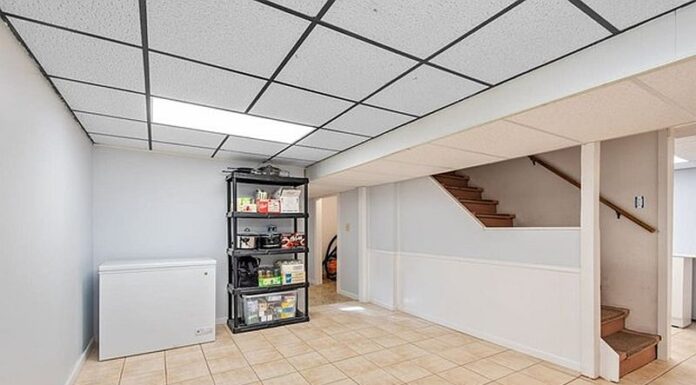 Cât de importante sunt volumul și dimensiunea în alegerea unei lăzi frigorifice?