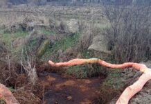 Intervenție a SGA Gorj! Risc de contaminare a râului Amaradia